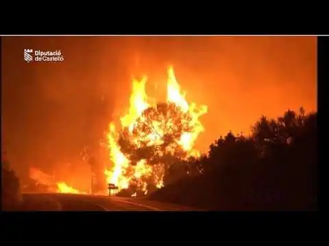 画像 スペインとフランスで過去最悪の森林火災、30万人が避難：マドリード郊外にも延焼