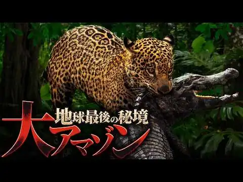 画像 地球最後の秘境｜野生動物たちが支配する危険な楽園『大アマゾン』