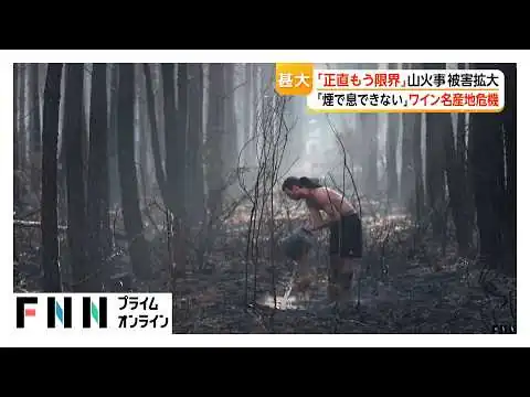 画像 「正直もう限界」ボルドーワイン危機…ブドウ畑にも迫る炎　品質への影響も懸念　フランス山火事1週間も鎮火めど立たず　22万人避難（2026年07月29日）