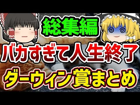 画像 【作業用】【総集編】おバカな理由でこの世を去ってしまった人たち…ダーウィン賞まとめ【ゆっくり解説】