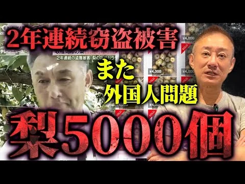 画像 【緊急】2年連続で梨の盗難被害！外国人の受け入れによる被害がすごい件について