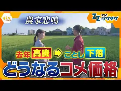 画像 去年は高騰　今年は下落　コメ価格どうなる！？【ニュース ジグザグ】