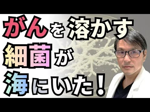画像 【朗報】がんを溶かす細菌が海にいた！海洋バクテリア「フォトバクテリウム・アングスタム」による大腸がんの治療