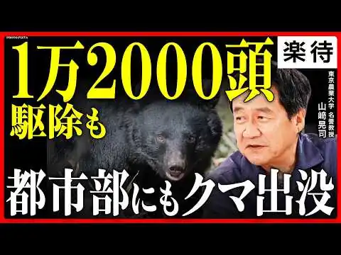 画像 【1万2000頭駆除】最多の被害状況「人を恐れず学習する」恐るべきクマの生態／駆除しても出没が止まらない理由《研究歴30年・山崎晃司教授:前編》