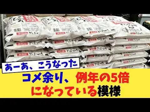 画像 コメ余り、例年の5倍になっている模様