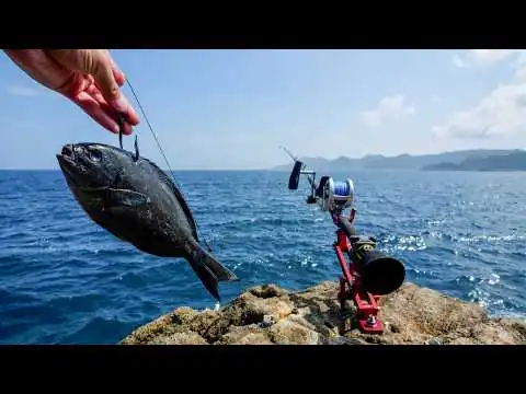 画像 港近くの小さな無人島で36時間真夏のクエ釣りキャンプ🔥