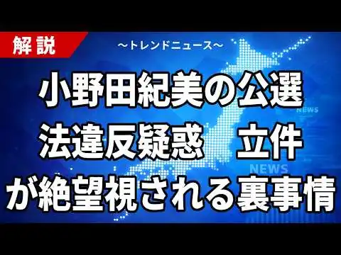 画像 時効3年の壁！小野田紀美の公選法違反報道で隠された真相